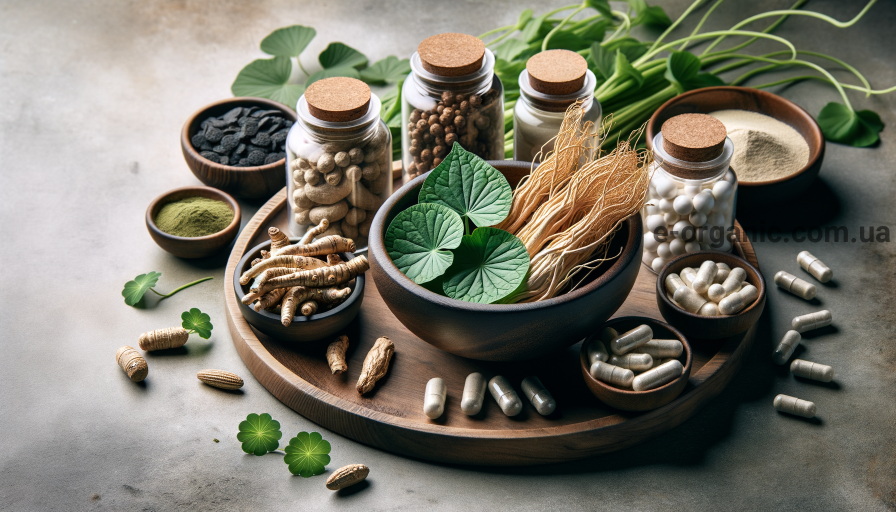 Illustration for section: Елеутерокок (Eleutherococcus senticosus): відомий своєю здатністю п - адаптогени для активності