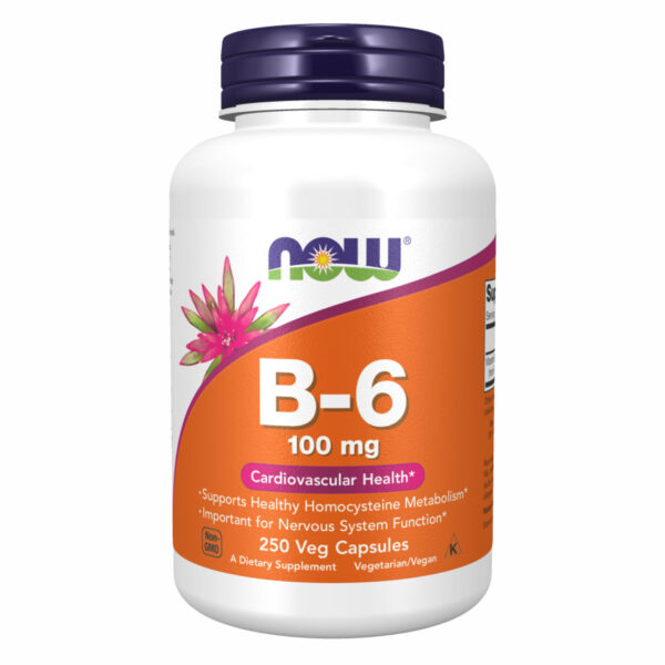 "B-6 100mg - 250 vcaps supplement bottle"