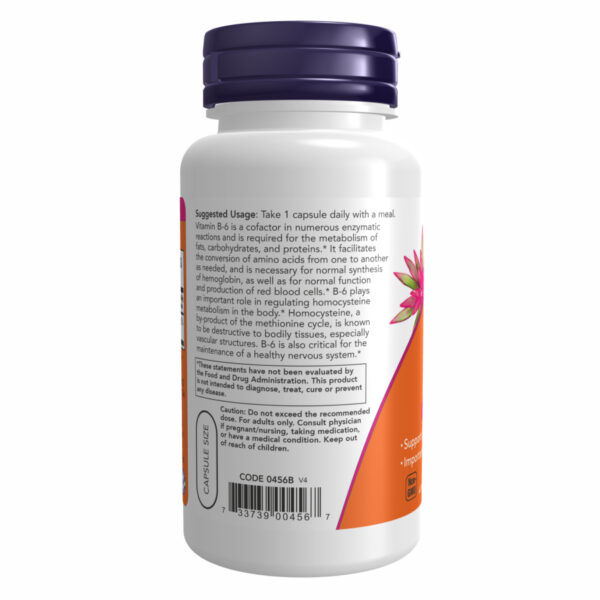"B-6 100mg - 250 vcaps supplement bottle."