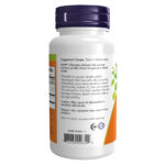 "Chlorella 1000mg - 120 tabs packaging."