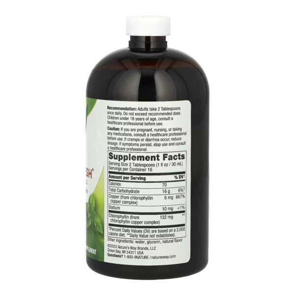 chlorofresh mint liquid 16 oz 16107722913011 2e63238c22
