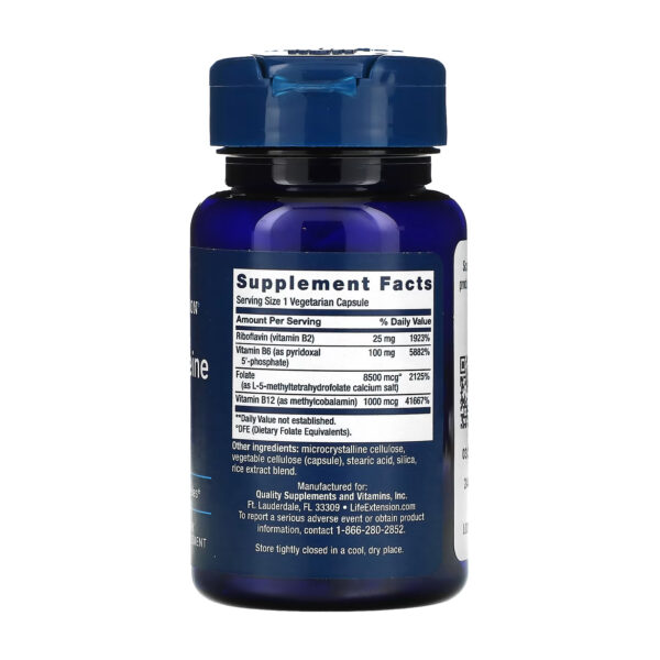 homocysteine resist60 vegetarian capsules le 41593130084747 cbc1b66114