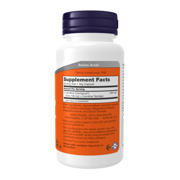 l carnitine 500mg 60 vcaps 82325159981477 42e6a7fdbc