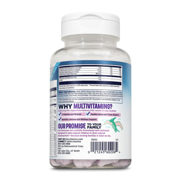multisaurus chewable mixed berry btl plastic 60ct 95929266031726 9f052f676f