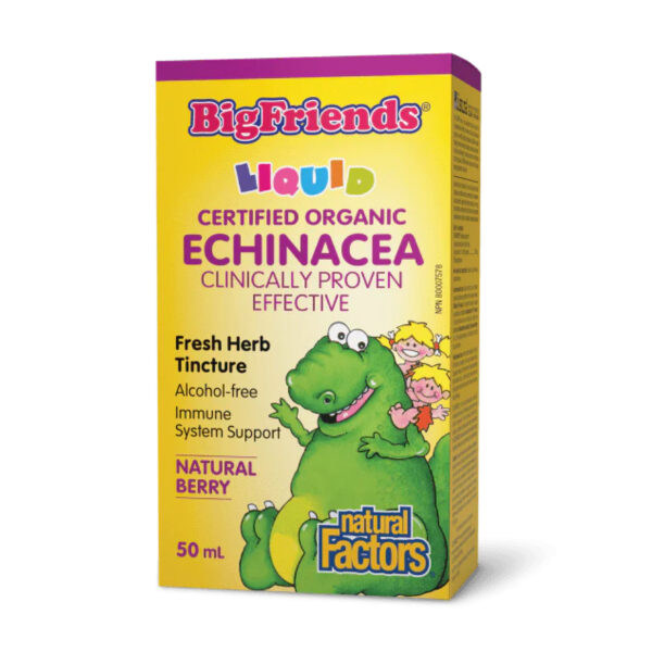 bigfriends echinacea alcohol free fresh herb tincture for kids 50 ml 33706631511350 2c4616f42c