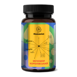 Amanita regalis - 60 caps