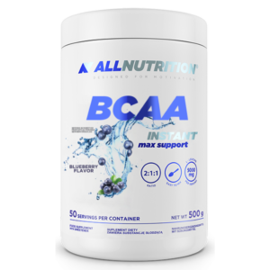 BCAA Max Support Instant - 500g Bllueberry