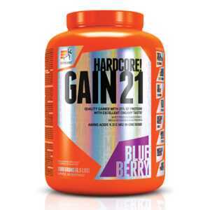 Hardcore Gain21 - 3000g Blueberry