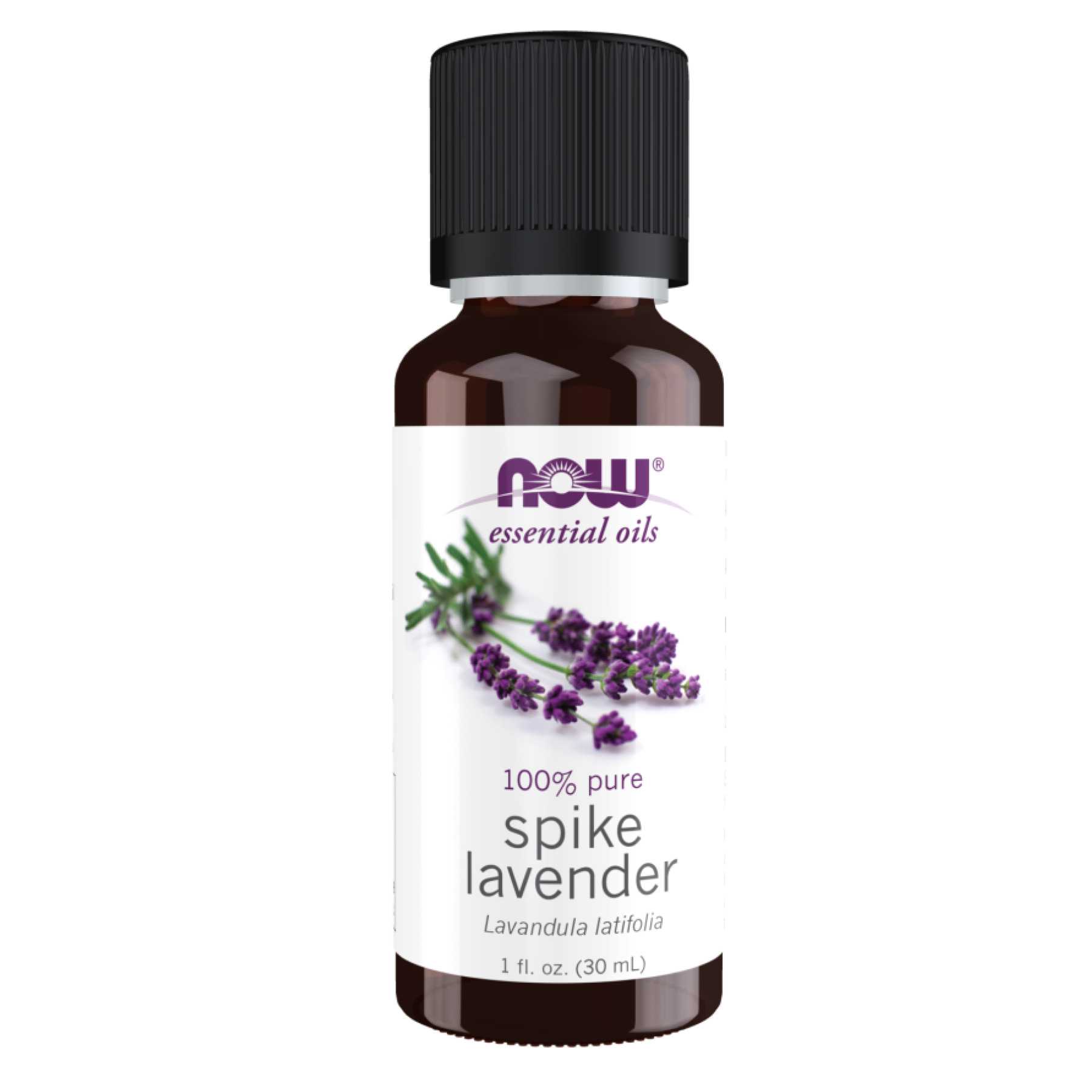 spike-lavender-oil-30ml-1fl.oz-13057696748838_-4224a3c150 spike lavender oil 30ml 1fl.oz 13057696748838 4224a3c150